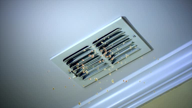 Best Air Duct Mold Removal  in North Braddock, PA
