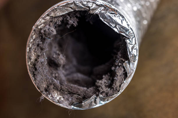 Best Commercial HVAC Duct Cleaning  in North Braddock, PA