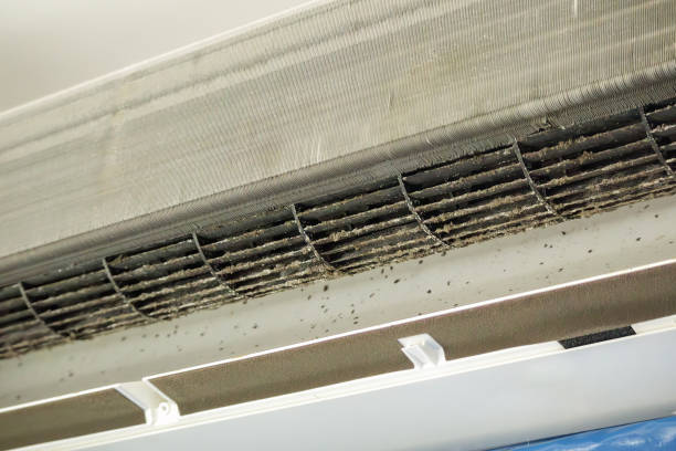 Best Affordable HVAC Duct Cleaning  in North Braddock, PA